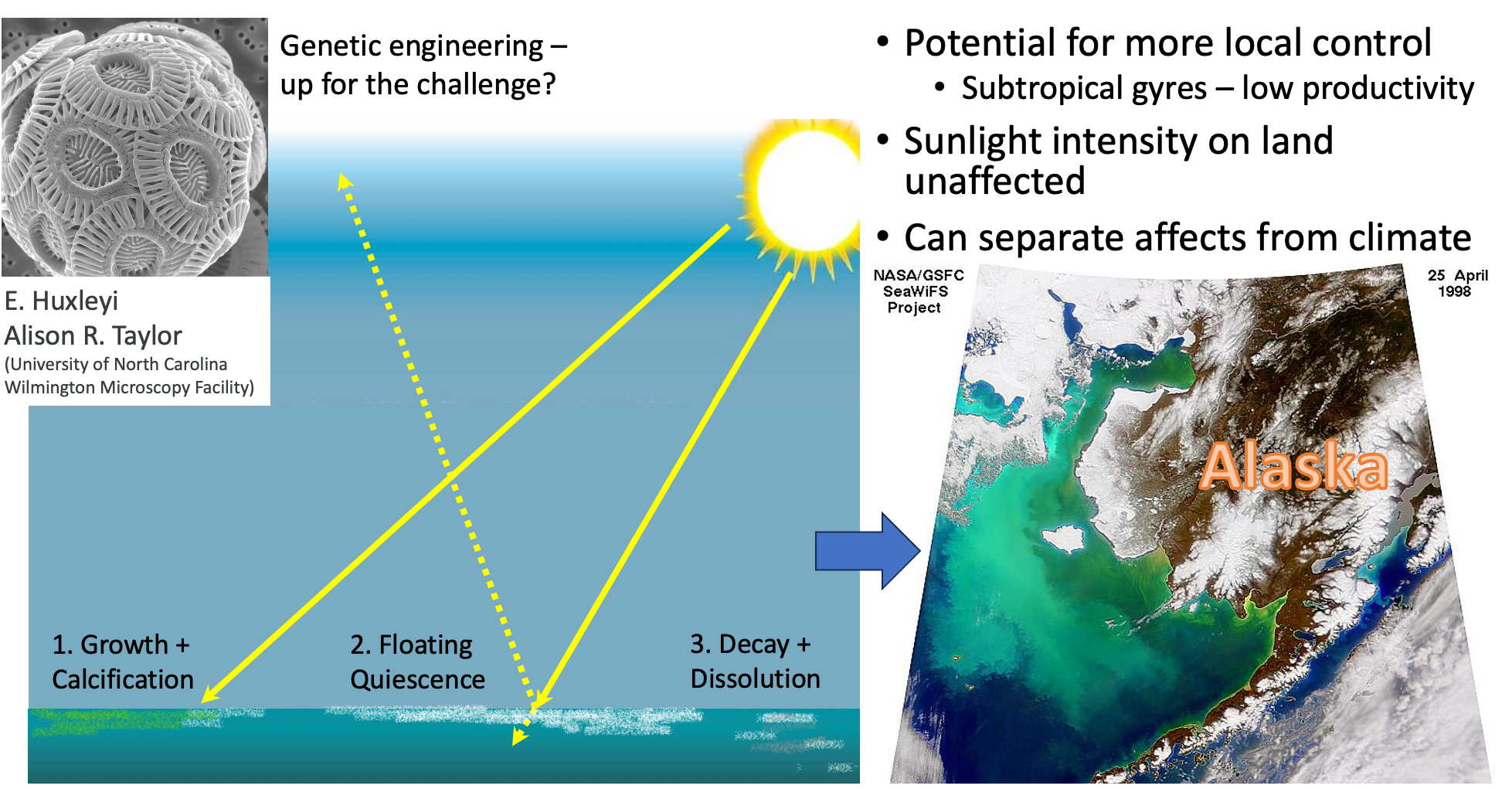 GeoengSchematic